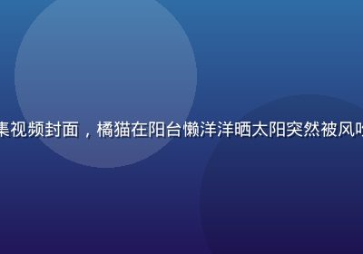 草榴短视频萌宠合集视频封面，橘猫在阳台懒洋洋晒太阳突然被风吹乱毛发的搞笑瞬间